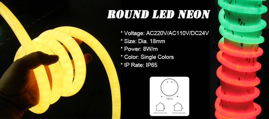 AC220V/110V, DC24V RGB Color Changing LED Neon Flex Light with Remote Controller