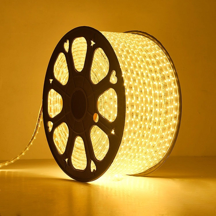 Christmas Light Changeable SMD 5050 Flexible LED Strip Light AC220V/110V Decoration Light LED Strip Light