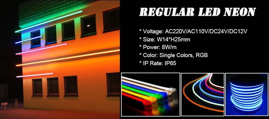 AC220V/110V, DC24V RGB Color Changing LED Neon Flex Light with Remote Controller
