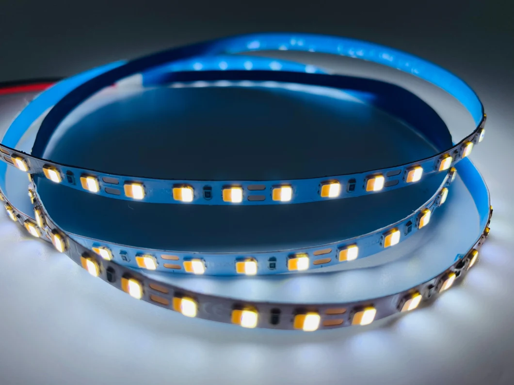 Dual Color High-Density SMD 2216 LED Strip with 2 Years Warranty LED Strip Light
