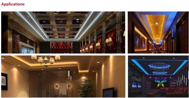 Programmable SMD5050 60LEDs/M Full Color RGB Magic Colorful Ws2811 5m /Roll Flexible Light LED Strip