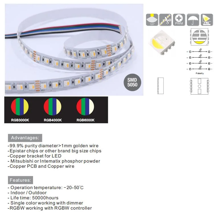 Programmable SMD5050 60LEDs Smart RGBW 12V 24V Multicolor LED Strip Light
