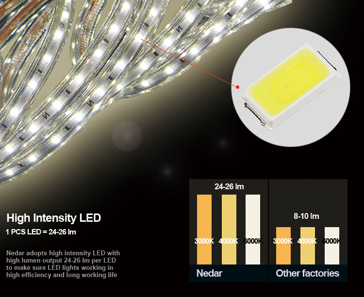 Bright LED Strip AC220V LED Flexible Light