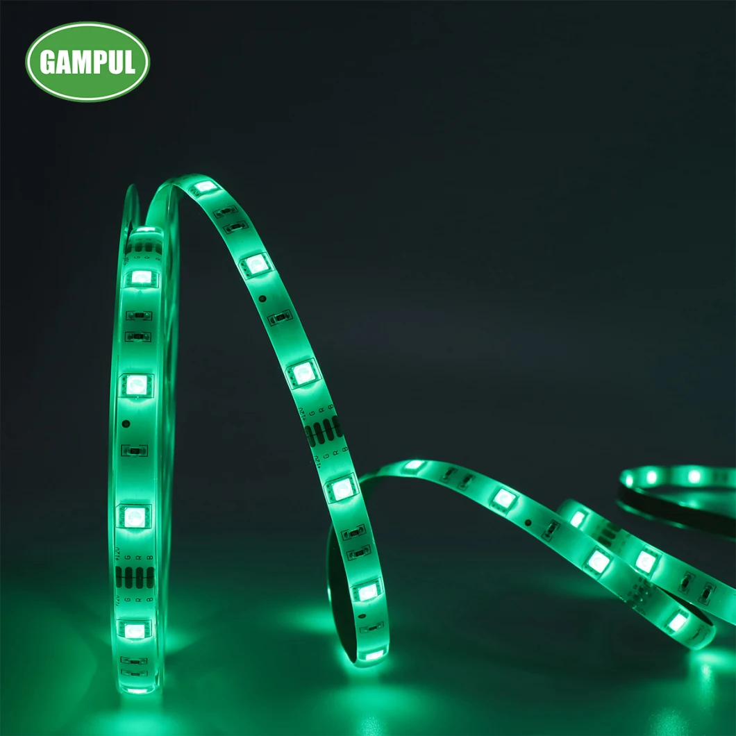 LED Neon 220V Flexible LED Strip Lights LED Ribbon LED Christmas Lights Outdoor LED String RGB Tape Light LED Rope Light