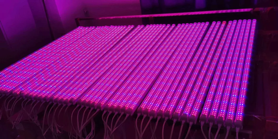 Indoor Vegetable Grow Full Spectrum LED Strip Lights