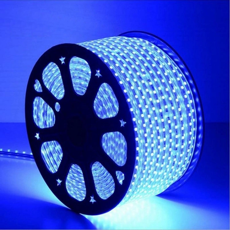 Christmas Light Changeable SMD 5050 Flexible LED Strip Light AC220V/110V Decoration Light LED Strip Light