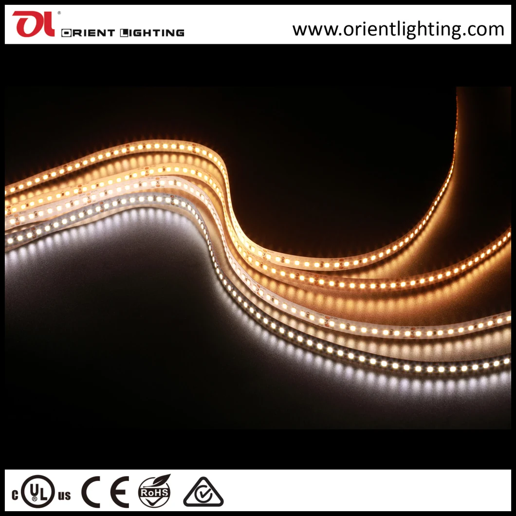 5m/Roll Ce UL 3528 Strip LED Strip Light
