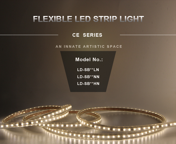 Bright LED Strip AC220V LED Flexible Light