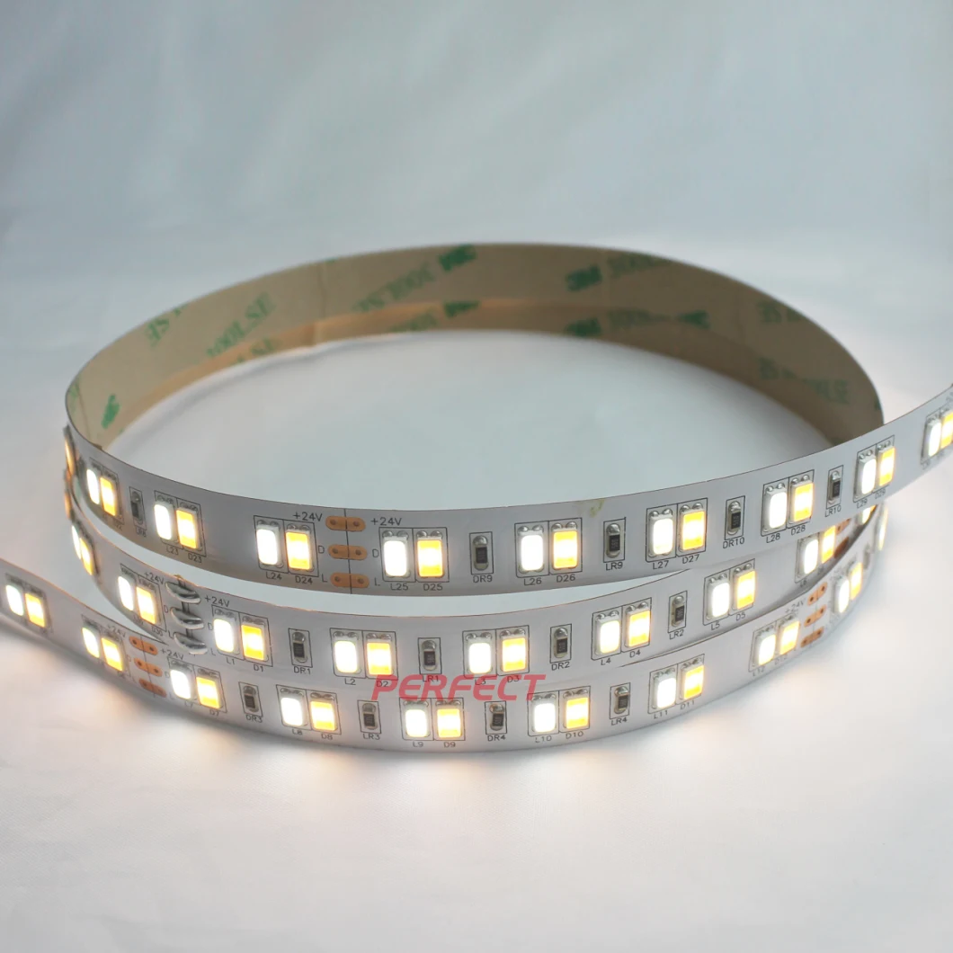 High Quality 5630 CCT LED Strip Light 5m LED Stripe Dali Dimmable LED Strip Light