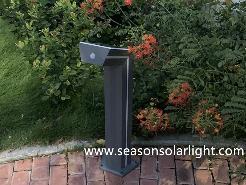 High Lumem Portable Outdoor LED Lighting Fixture Solar Garden Light with Blue LED Strip Lighting