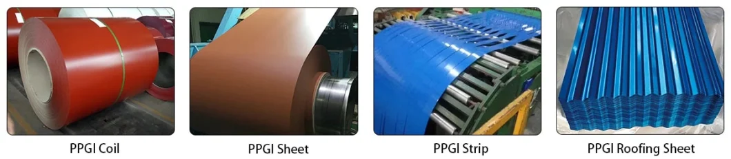 Wholesale High Quality Galvanized Color Steel Coil PPGI and Galvanized Color Steel Coil PPGL
