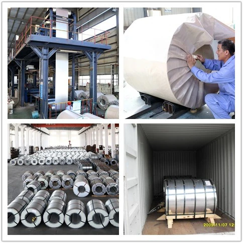 (0.12mm-1.5mm) Cold Rolled Galvanized Steel Coil