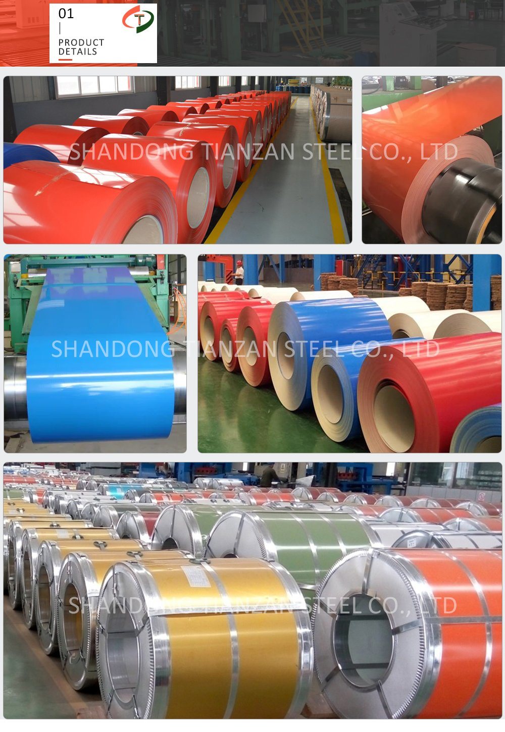 925mm/940mm PPGI/PPGL Steel Coil/Pre-Painted Galvalume Steel Coil