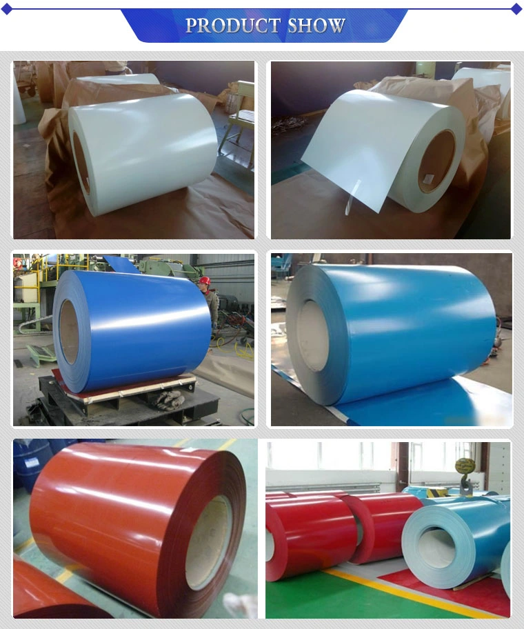 Ral Colour Coated Coils Steel Coil in Sauth Africa