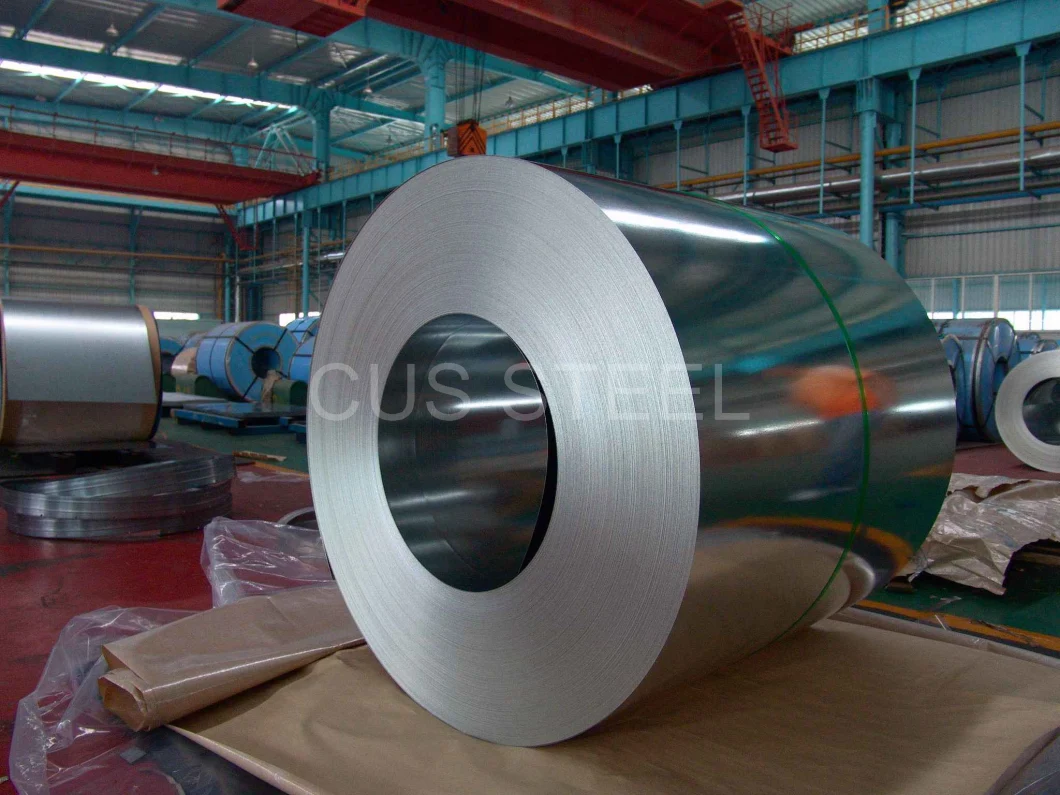 HDG Zinc Coating Steel Coil/Hot Dipped Galvanized Metal Coil