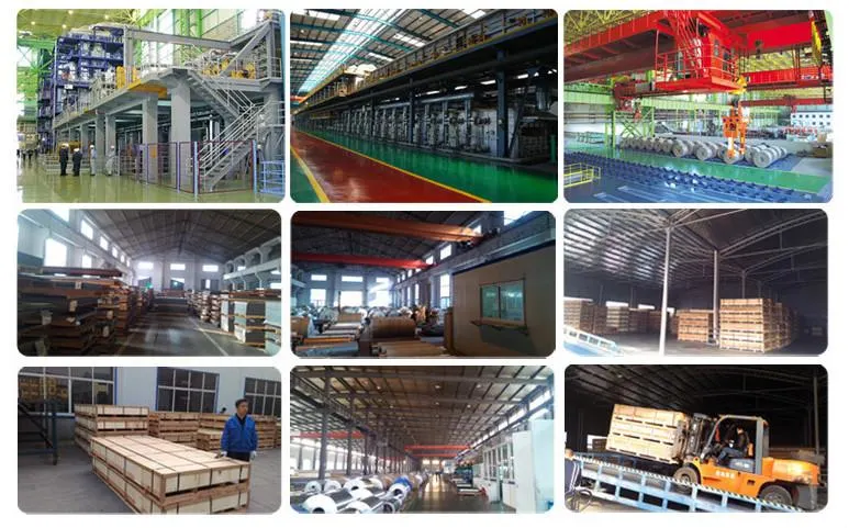 High Quality Prepainted Galvanized Color Zinc Coated PPGI PPGL Prepainted Steel Coil