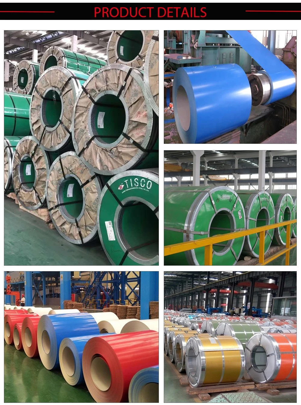 China Steel Color Coated Coils ASTM S250gd Q215 Steel Coils