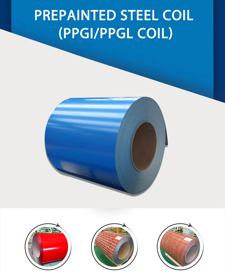 Prepainted Galvanized Steel Coil Hot Dipped Color Coated Steel Coil