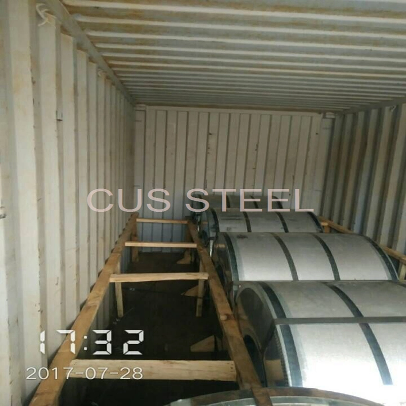 HDG Zinc Coating Steel Coil/Hot Dipped Galvanized Metal Coil