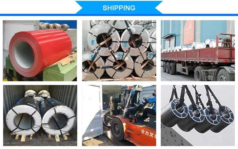 AISI Hot Sale Galvanized Steel Coil Suppliers /Manufacturers
