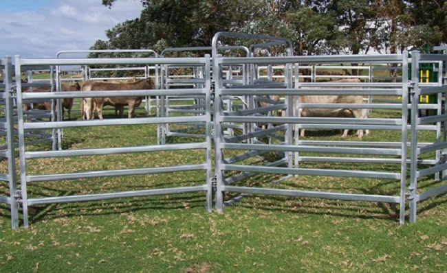 Galvanised Livestock Yard Metal Fence Cattle Panels for Sale