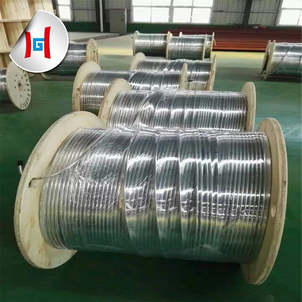 Ss300/Ss400 1.4310 Hot Rolled Stainless Steel Cold Rolled Coil Strip