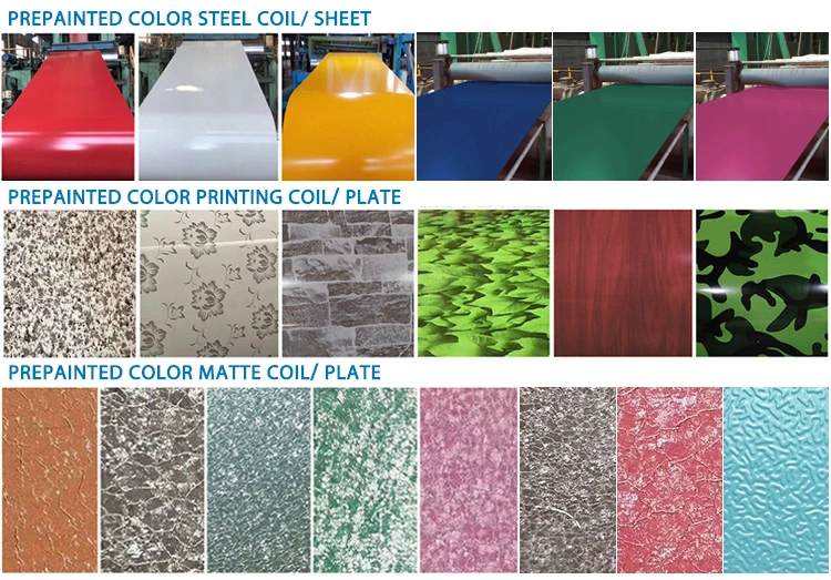 Color Coated Prepainted Galvanized Steel Coil PPGI Steel Coil