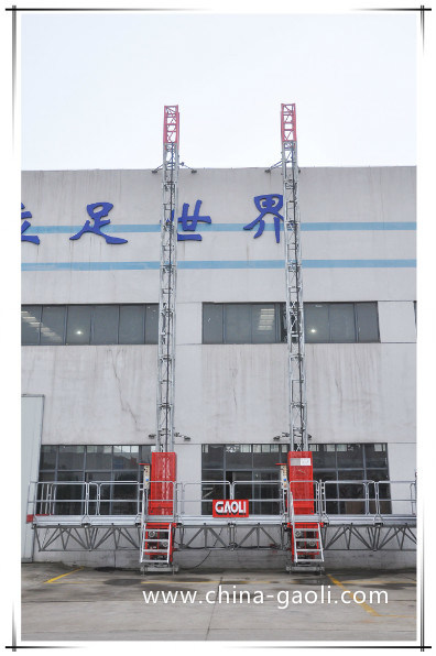 High Quality Aerial Work Platform Double Mast Climbing Work Platform