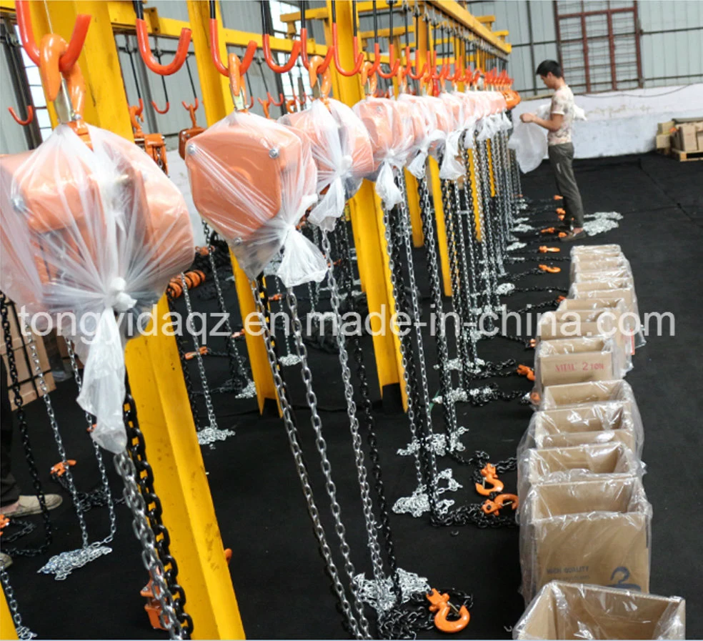 Vital Chain Hoist/Lifting Hoist/Hand Winch/Chain Puller Hoist