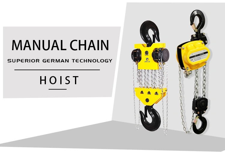 High Quality Compact Sized Design Product Dele Df 2t Chain Hoist Block