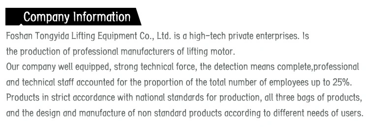 Toyo Design Manual Chain Hoist 2 Ton Chain Hoist 3 Meters 5 Ton Lifting Chain Hoist