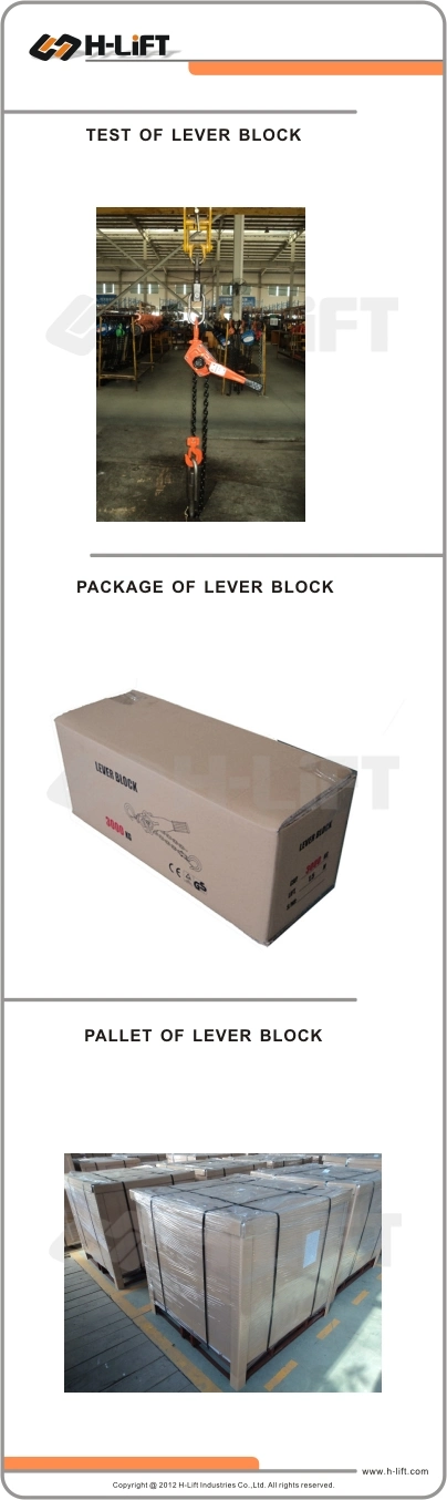 Hand Lever Hoist / Mini Lever Block