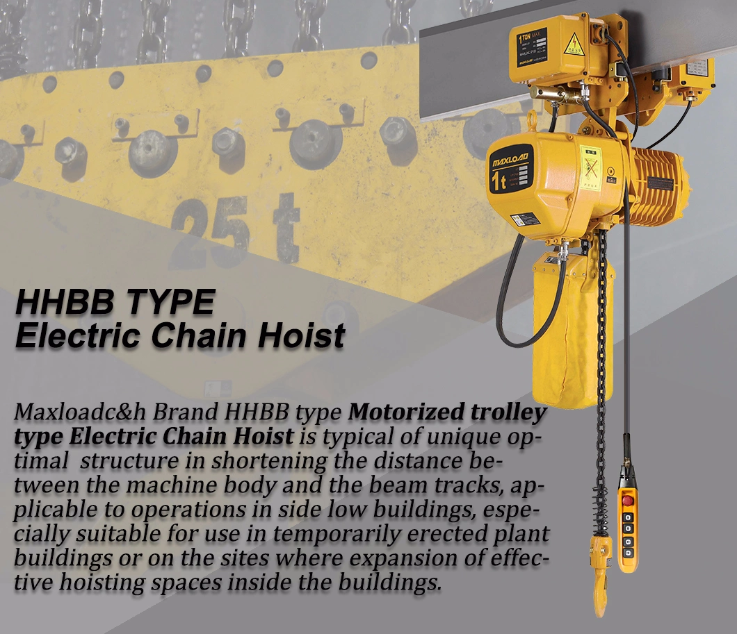 1 Ton Japan Type Electric Chain Hoist Electric Hoist