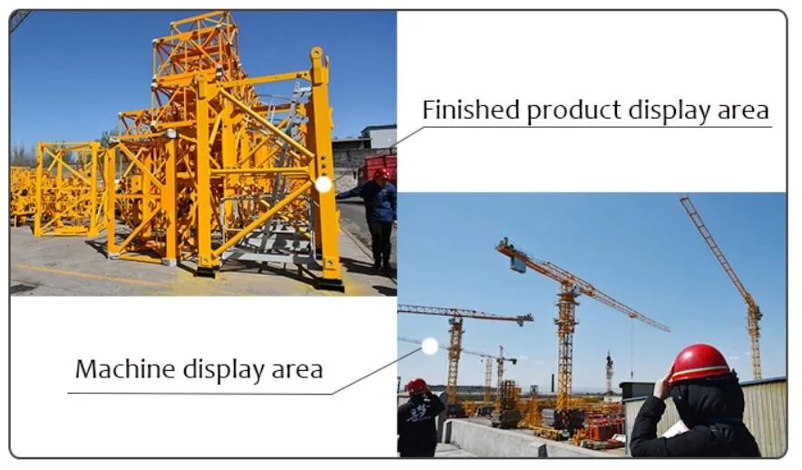 Made in China High Quality Reliable Tower Crane Qtp80