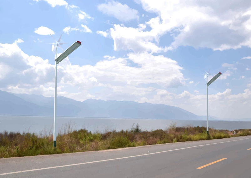 80W Hybrid Solar LED Street Light Wind Solar Light with LiFePO4 Battery