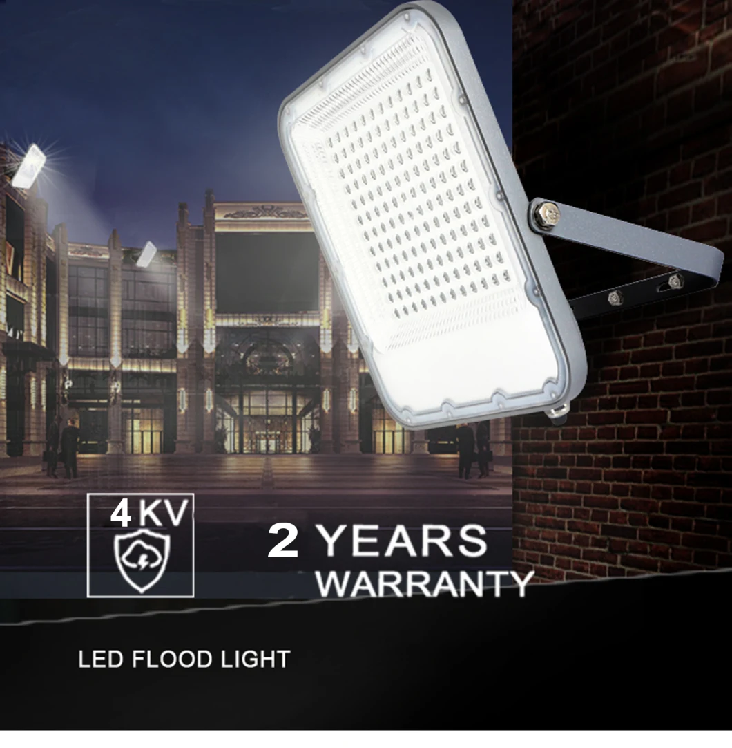 220V Outdoor LED Focos Lighting Fixtures Marine Security Waterproof IP65 Prices LED Flood Light, Flood Lights