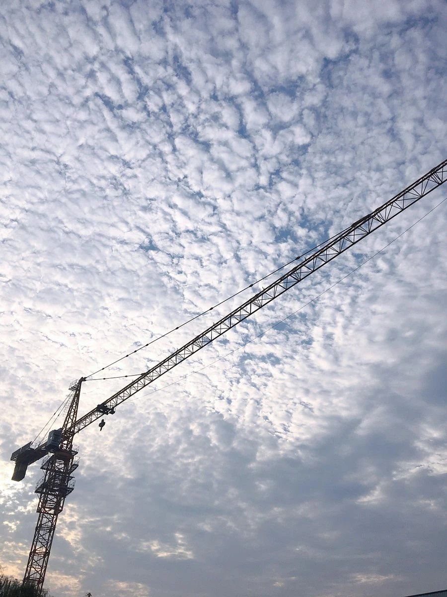 8 Ton Building Lifting Equipment 8t Topkit Tower Crane