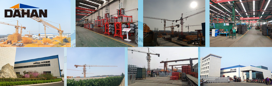 China Crane Company Dahan Hammerhead Tower Crane 6t Jib Length 50m