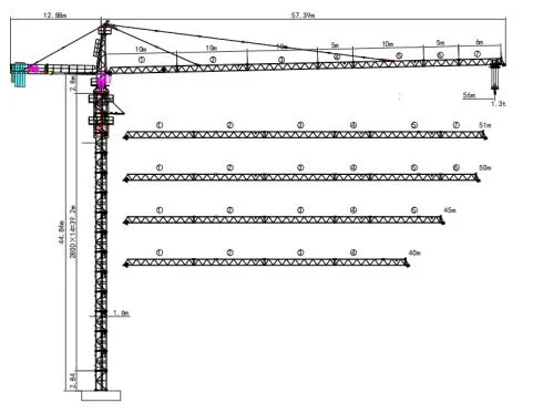 Crane Rental Company Best Choice Dahan Hammerhead Tower Crane 6t Jib Length 50m