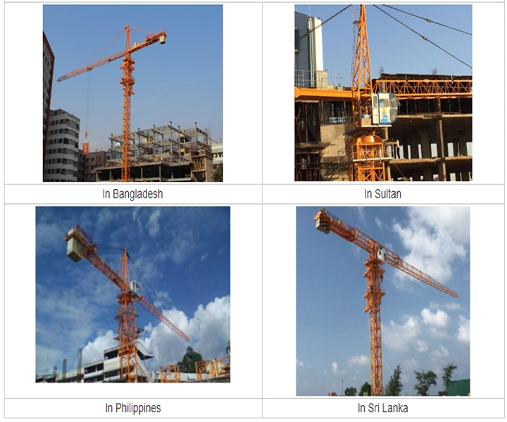 Tower Crane Factory High Quality Cheap Price of Tower Crane From China Brand Tavol