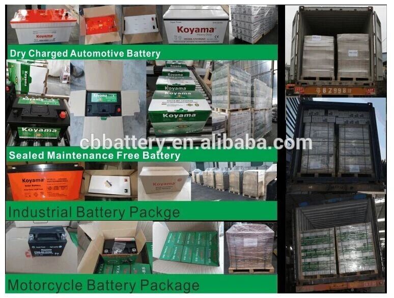 Hot Sale Standby Battery/ Light Equipment Battery 15ah 12V
