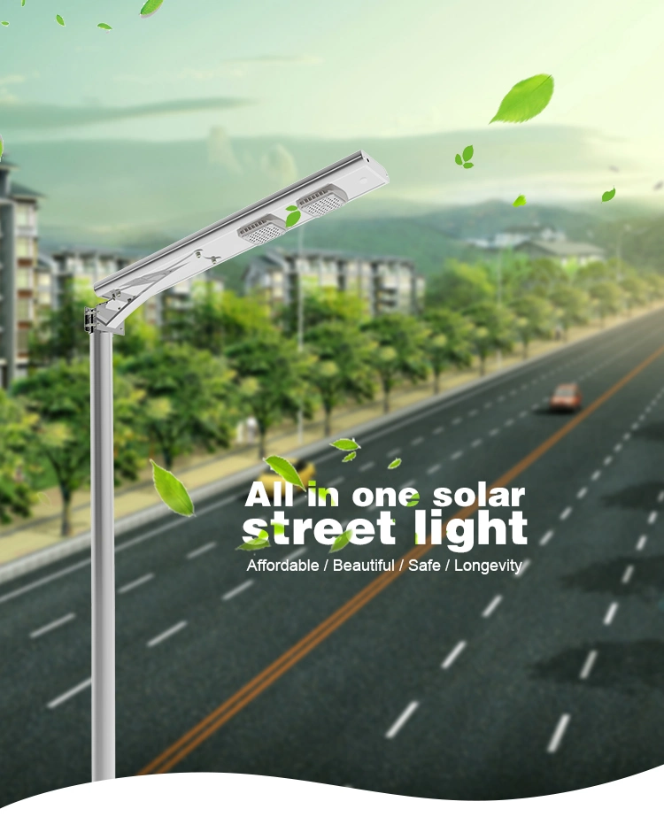 60W LED Lamp Solar Light with Solar Panel for LED Street Light & Solar Street Light