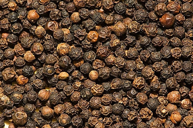 Wholesale Chinese Kitchen Condiments Black Pepper