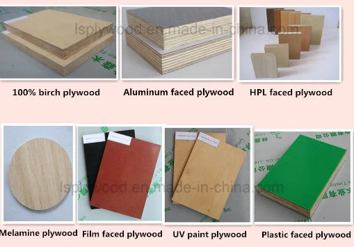 18mm Furniture Grade White Birch Plywood for Cabinet, UV Coated Plywood, Carb E0 Grade Plywood