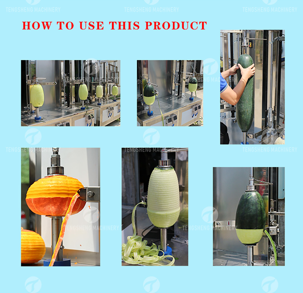 Multi-Function Automatic Watermelon Wax Gourd Peeler Fruit Processor (TS-P100)