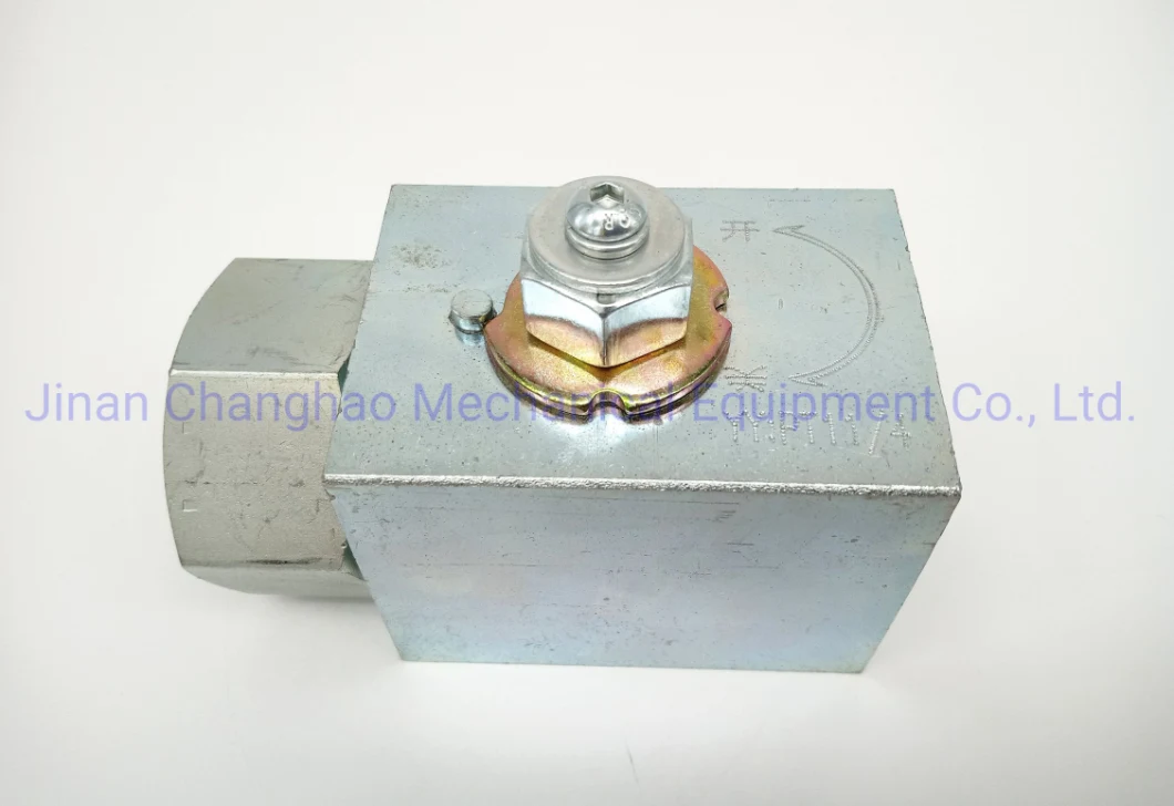 Durable Excavator Hydraulic Breaker Pipeline Stop Valve Shuttle Valve Form China