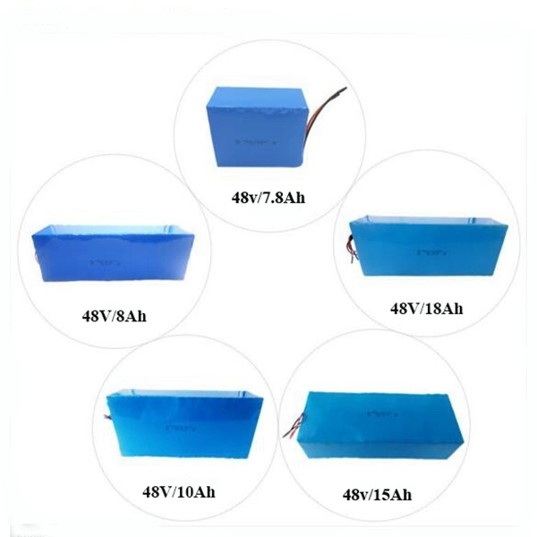 Customized Lithium Battery 48V 18ah Battery Pack for Electric Vehicles