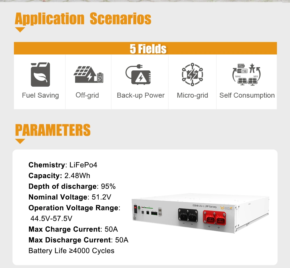 Lithium Battery / Lithium Ion Battery /Li-ion Battery/ LiFePO4 Battery / Battery Pack 48V Battery 50ah Battery