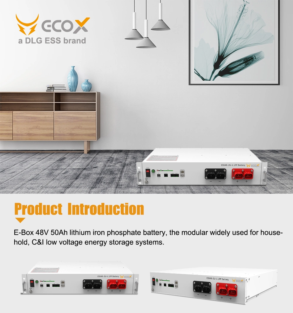 Lithium Battery Rechargeable 48V 50ah Lithium Ion Battery Packs LiFePO4 Battery Solar Battery