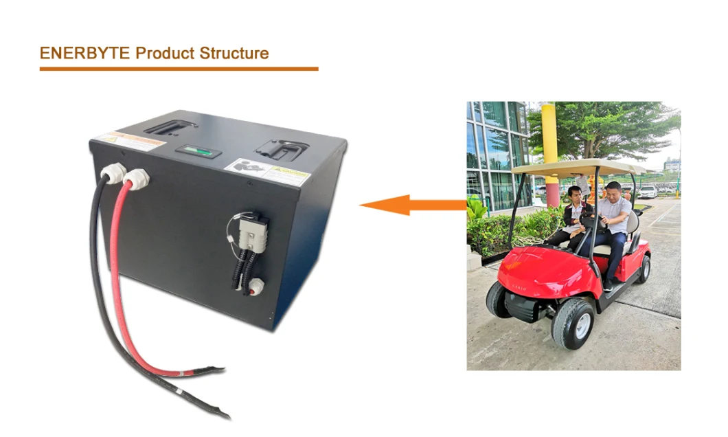 48V60ah Lithium Battery/ Golf Cart Battery/ Agv Lion Battery / Low Speed Vehicles / Golf Cart LiFePO4 Battery/